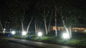 LED bollard lighting illuminates a pathway at night. 