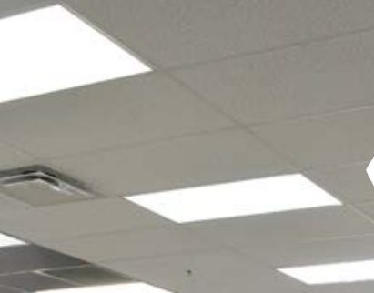 A ubiquitous ceiling with 2’ x 4’ troffers.