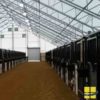 Horse Stall Lighting: How to Safely Light Your Stable