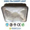 Introducing ANDO: Low-Profile Commercial Canopy LED Lights