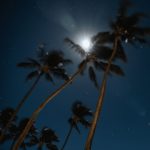 Hawaii Night Sky