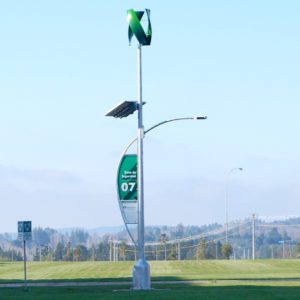 Street Light with Solar and Wind Power
