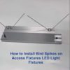 How to Install Bird Spikes on Access Fixtures LED Light Fixtures