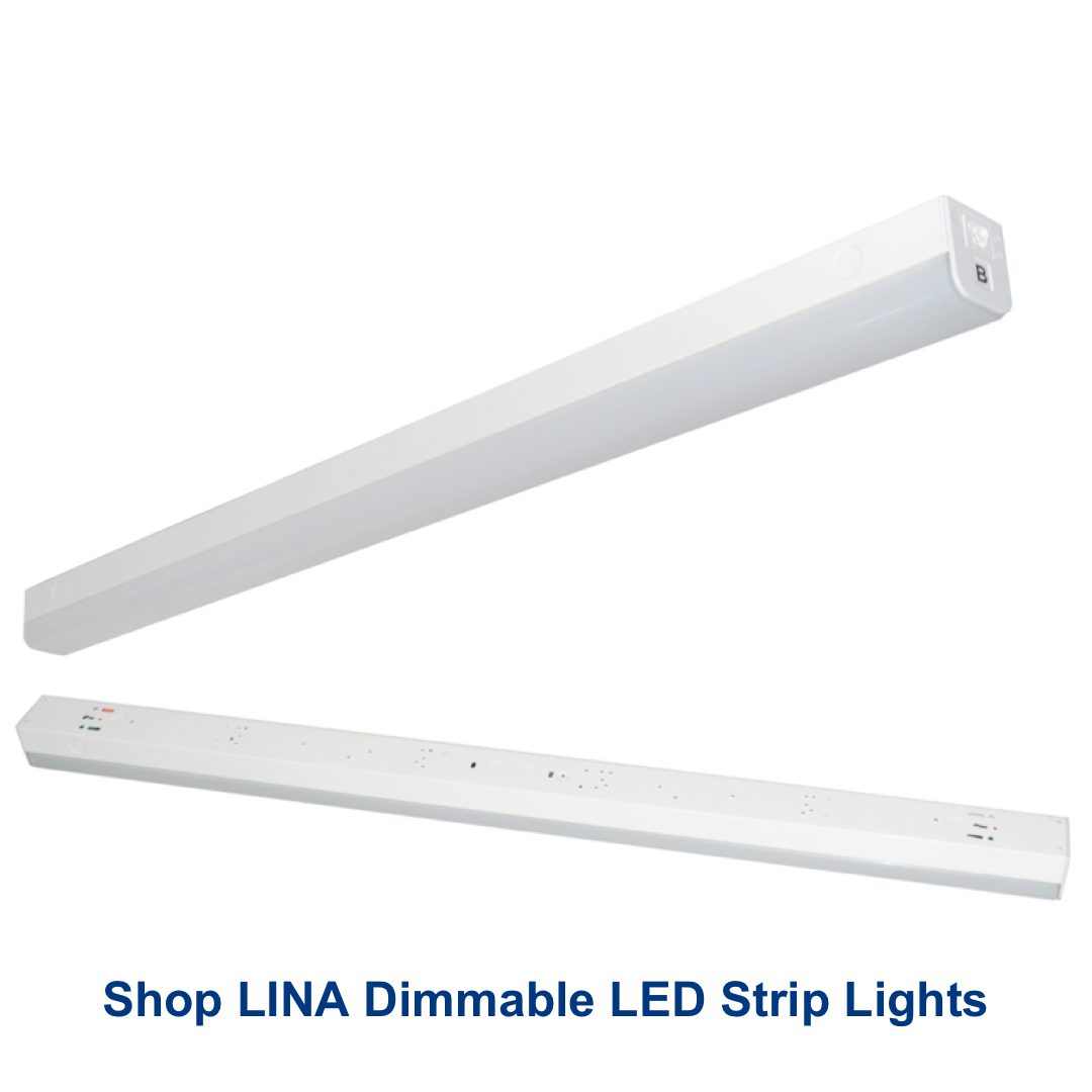 LINA LED strip lights are dimmable
