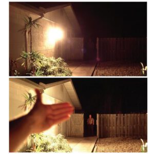 Glare impacts the ability to see an intruder. Click to enlarge. 