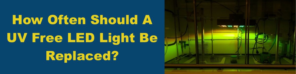 How Often Should A UV Free LED Light Be Replaced?